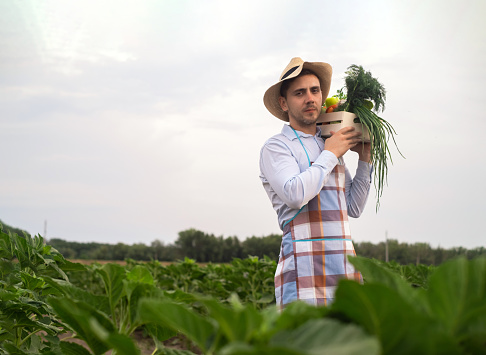 Portrait of a happy young farmer holding fresh vegetables in a basket. On a background of nature The concept of biological, bio products, bio ecology, grown by own hands, vegetarians, salads healthy