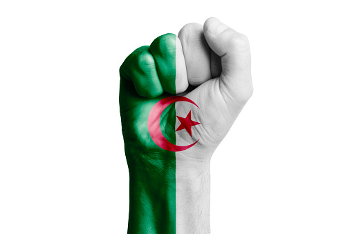 Man hand fist of ALGERIA flag painted. Close-up