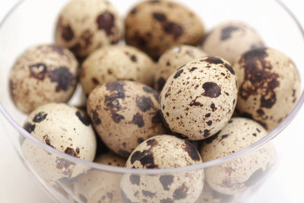 istock Close-up of a quail egg 1716840266
