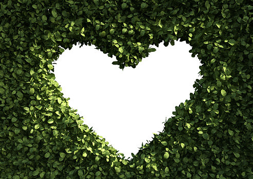 3d rendering of a hedge with a heart-shaped hole