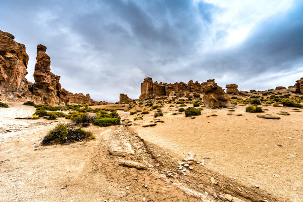 istock Bolivian countryside 1716879628