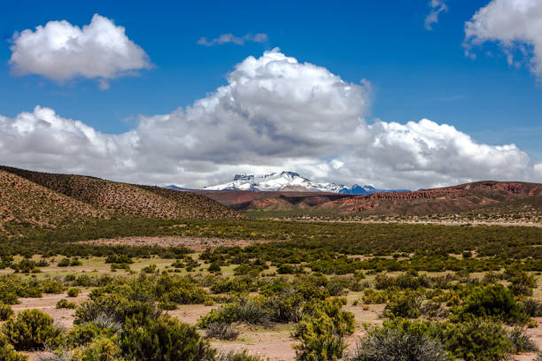 istock Bolivian countryside 1716881903