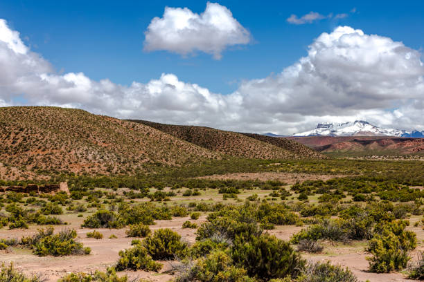 istock Bolivian countryside 1716881911