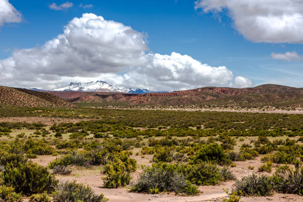 istock Bolivian countryside 1716882461