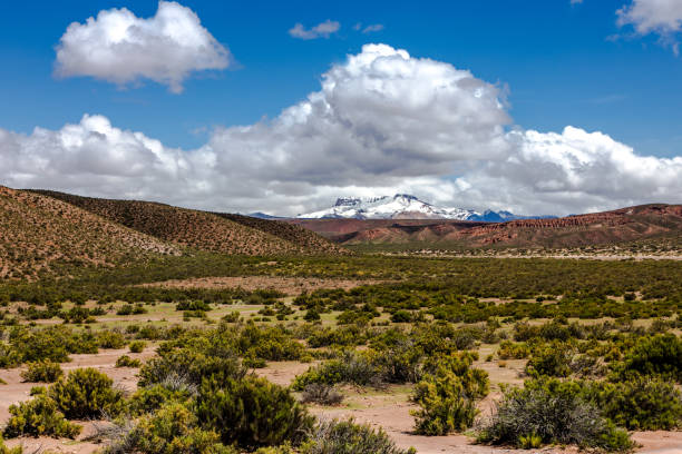 istock Bolivian countryside 1716882462