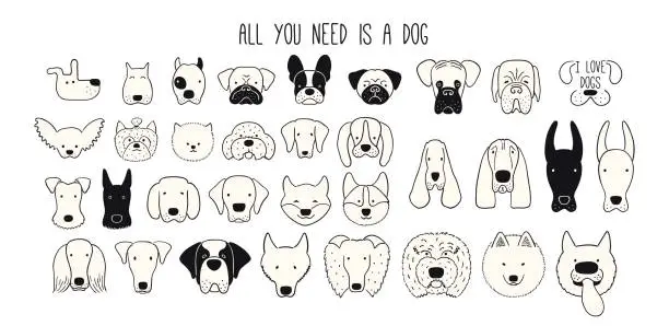 Vector illustration of Cute funny dog, puppy faces collection, isolated