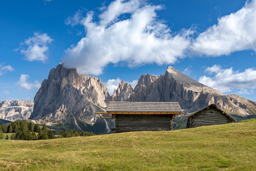 Hut on Seiser Alm, Alpe di Siusi, in front of Langkofel, Sassolungo, and Plattkofel, Sassopiatto, mountain, South Tyrol
