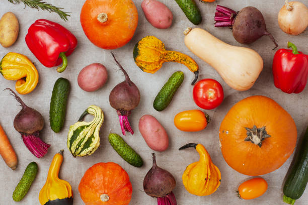 istock autumn flat lay on grey background with pumpkins 1716933538