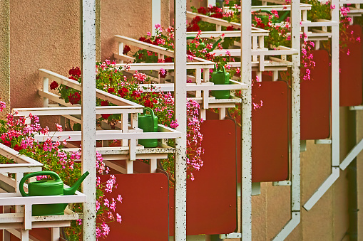 Geraniums on balconies in a row