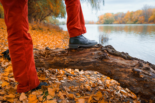 a close view of the legs of a young teenage girl posing in an autumn forest, red trousers and black shoes standing on a fallen tree on the riverbank, beautiful nature and bright yellow leaves