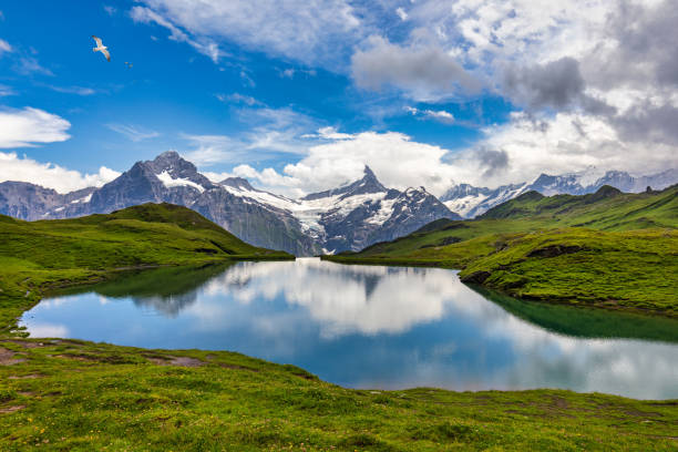 lac bachalpsee à l’aube, oberland bernois, suisse. vue alpine sur le mont schreckhorn et le wetterhorn. localisation bachalpsee dans les alpes suisses, vallée de grindelwald, interlaken, europe, suisse. - switzerland european alps schreckhorn horizontal photos et images de collection