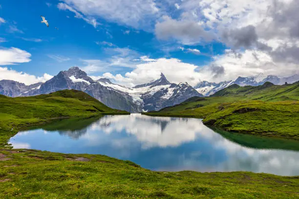 Bachalpsee lake at dawn, Bernese Oberland, Switzerland. Alpine view of the Mt. Schreckhorn and Wetterhorn. Location Bachalpsee in Swiss alps, Grindelwald valley, Interlaken, Europe, Switzerland.