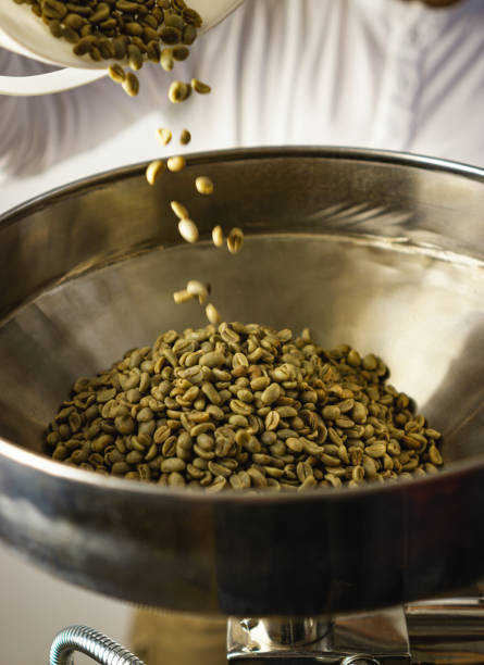 обжарщик кофе, насыпающий зеленые зерна в бункер для зерен на машине для обжарки кофе - roasted machine bean mixing стоковые фото и изображения