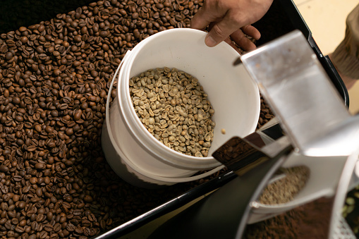 Coffee beans roasting process. green beans before being roasted into fresh coffee beans from the roasting machine