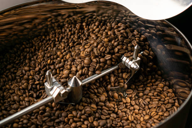 istock Roasted coffee beans stirred in coffee roaster machine cooling tray 1716956108