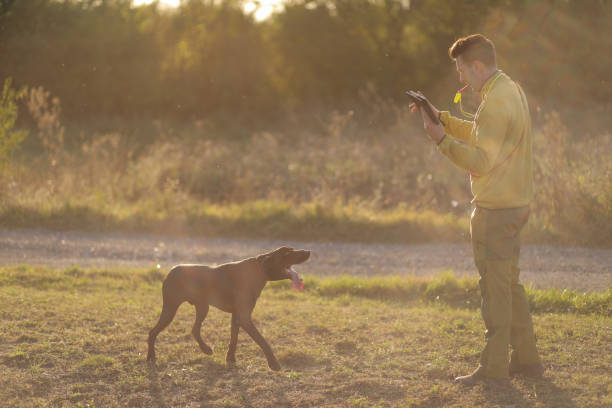istock Beautiful  German Shorthaired Pointer dog and its owner during outdoors obedience training session. Sit and stay command. Man with hunting dog portrait. stock photo 1716967226