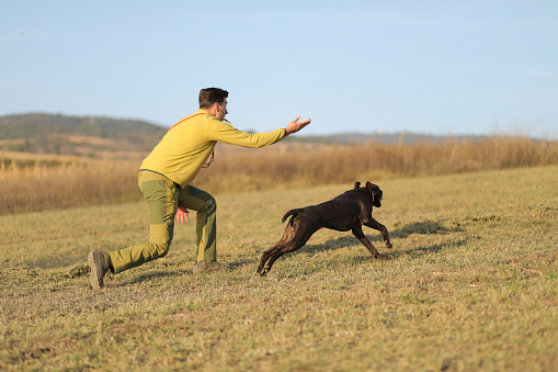 Beautiful  German Shorthaired Pointer dog and its owner during outdoors obedience training session.Man with hunting dog portrait. stock photo