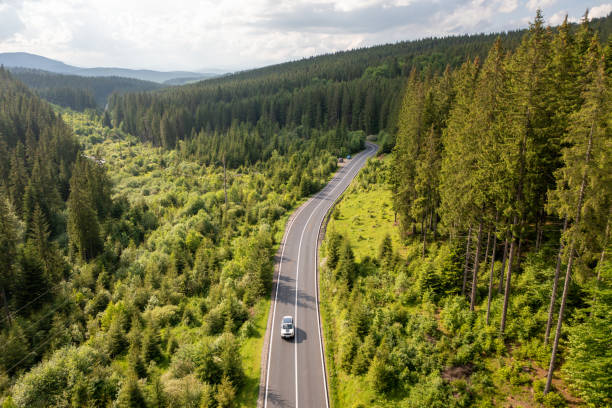 istock Forest road aerial view, summer landscape 1716971642