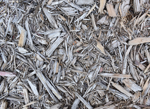 A close-up background featuring the intricate, natural texture of sawdust, showcasing the fine, granular details of wood particles.