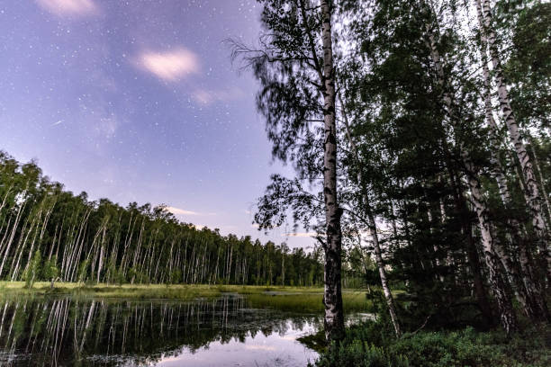 istock Starhunt in the woods 1717013203