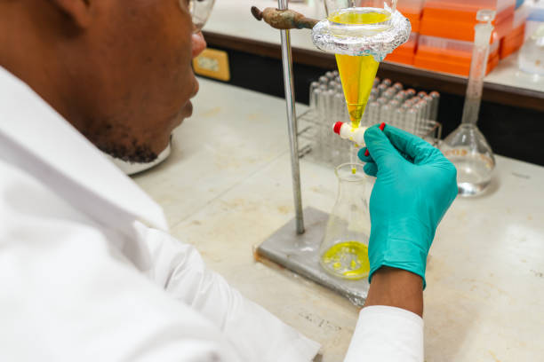 Side view of African male chemist wearing lab coat and protective green glove opens the stopcock of separating funnel to let the yellow solution flow into flask after using separating funnel for the liquid-liquid extraction of two immiscible liquids in modern laboratory. la vista lateral del químico africano con bata de laboratorio y guante verde protector abre la llave de paso del embudo de separación para permitir que la solución amarilla fluya hacia el matraz después de usar el embudo de separación para la extracci