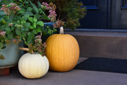 Pumpkins line the steps of a festive porch, adorned with Halloween decorations, creating a vibrant autumn scene filled with colorful fall vegetables.