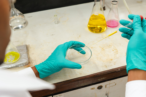 Controlled experiment. Selective focus on a hand of African male chemist wearing a lab coat and green protective glove while holding a petri dish and dropping a yellow chemical liquid at a laboratory.