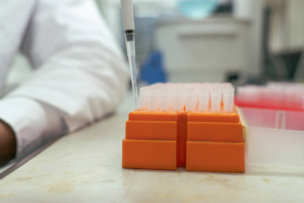 A laboratory scientist male holding auto micro pipette with micro pipette tip in his hands to ready to conduct chemical experiment in modern laboratory. Male scientist in the medical laboratory using pipette to transfer liquid solution.