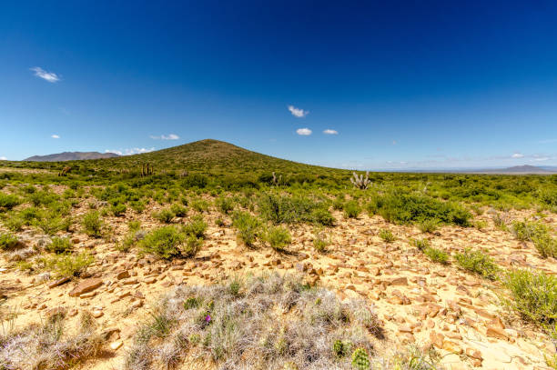 istock Bolivia countryside 1717030722