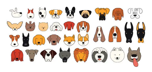 Vector illustration of Cute funny dog, puppy faces collection, isolated