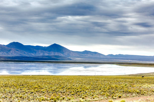 istock Bolivia countryside 1717040024