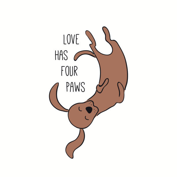Cute funny dog, puppy, lying on back, quote Cute funny dog, puppy, lying on back, quote Love has four paws. Hand drawn color vector illustration, isolated on white. Line art. Pet logo, icon. Design concept for poster, t-shirt, fashion print. lying friends quotes stock illustrations