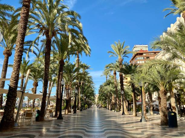 istock Spain - Alicante- Passeig Esplanada de Espanya 1717058375