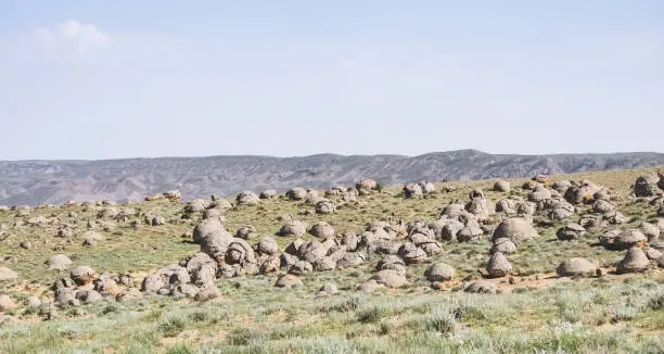 Photo of Unusual spherical shape of stones in the Kazakh steppe Mangistau, valley of balls in nature Torysh