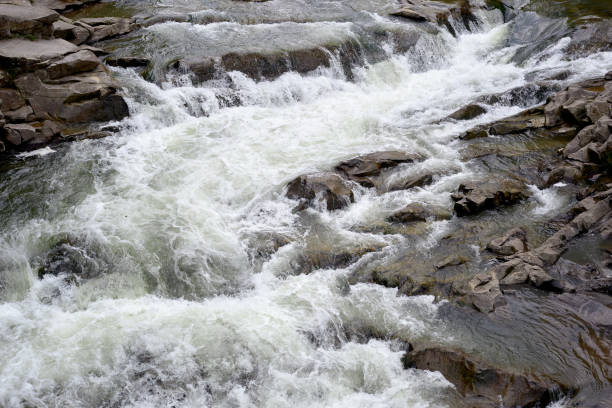 Close Up Of Small Mountain Stream With Morning Sunlight