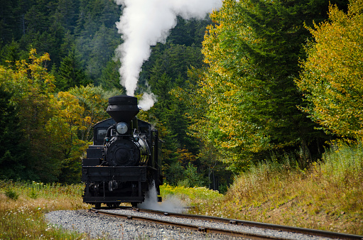 Cass, West Virginia / USA - October 9, 2016: Tourists riding the historic Cass Scenic Railroad excursion train take photos out of open air passenger cars on a cold, bright autumn day.