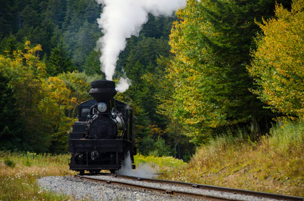 Cass Scenic Railroad SP - Narrow Gauge Locomotive at Bald Knob stock photo
