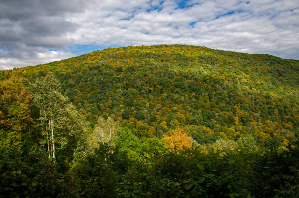 istock Cass Scenic Railroad SP - Sunlit Mountain 1717096432