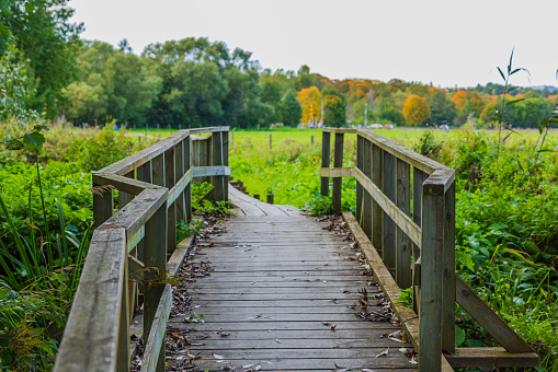 Beautiful autumn view of wooden old bridge over stream and pasture meadows in background.