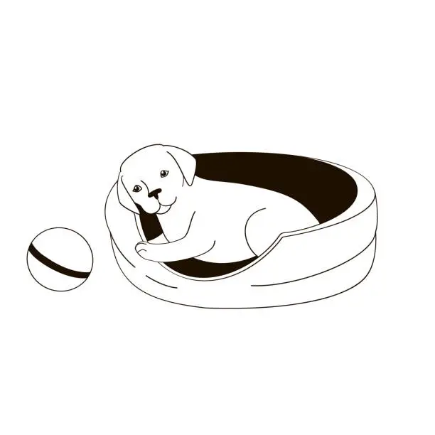 Vector illustration of puppy lying on a dog bed black  and white vector illustration