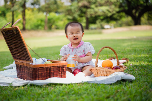 Portrait of happy cute little Asian baby girl sitting smiling and holding a cup with basket on lawn while relaxing picnic in public park. Cheerful adorable small child girl having fun in the garden.