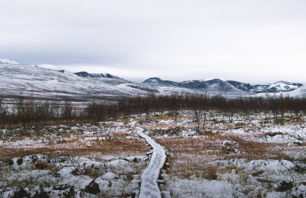 verschneite landschaft am schnittpunkt der dreiländergrenzen - saana stock-fotos und bilder