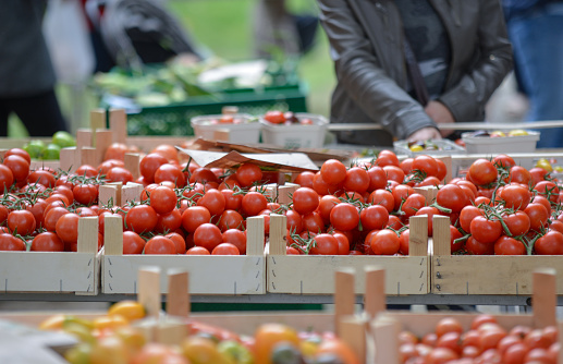 Shopping at the weekly market: A view of crates filled with various tomatoes at an outdoor market with people in the blurred background, selective focus, copyspace
