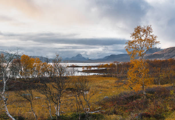 herbstlandschaft des kilpisjärvi, finnland, lappland - saana stock-fotos und bilder