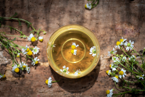 Cup of tea with chamomile flower on a wooden table. Organic, natural drink and glass cup on wooden table. Organic, natural drink and glass cup