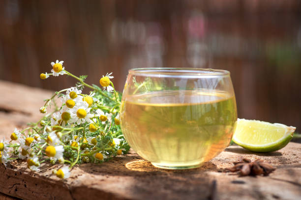 tazza di tè con fiori di camomilla - homewares rustic herbal tea herb foto e immagini stock