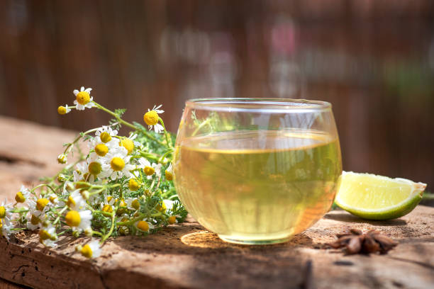 xícara de chá com flor de camomila - chamomile herbal tea chamomile plant tea - fotografias e filmes do acervo