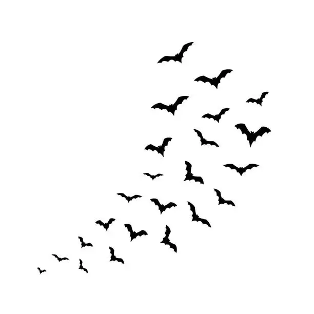 Vector illustration of Flying bats Halloween on white background. Vector