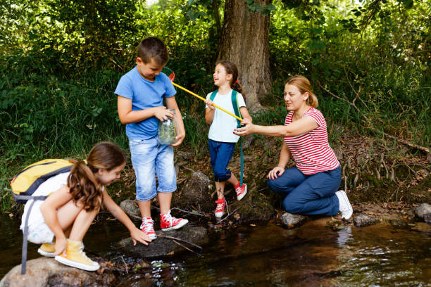 istock Children exploring nature together with their teacher 1717254025
