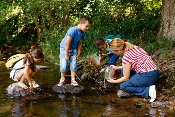 istock Children exploring nature together with their teacher 1717254553